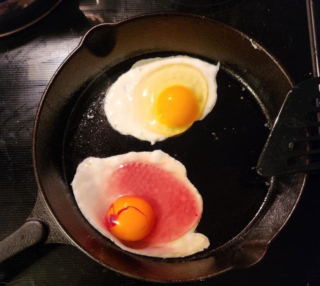 Blood in Eggs