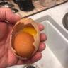 egg inside an egg